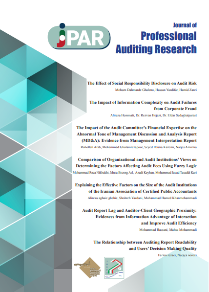 Professional Auditing Research